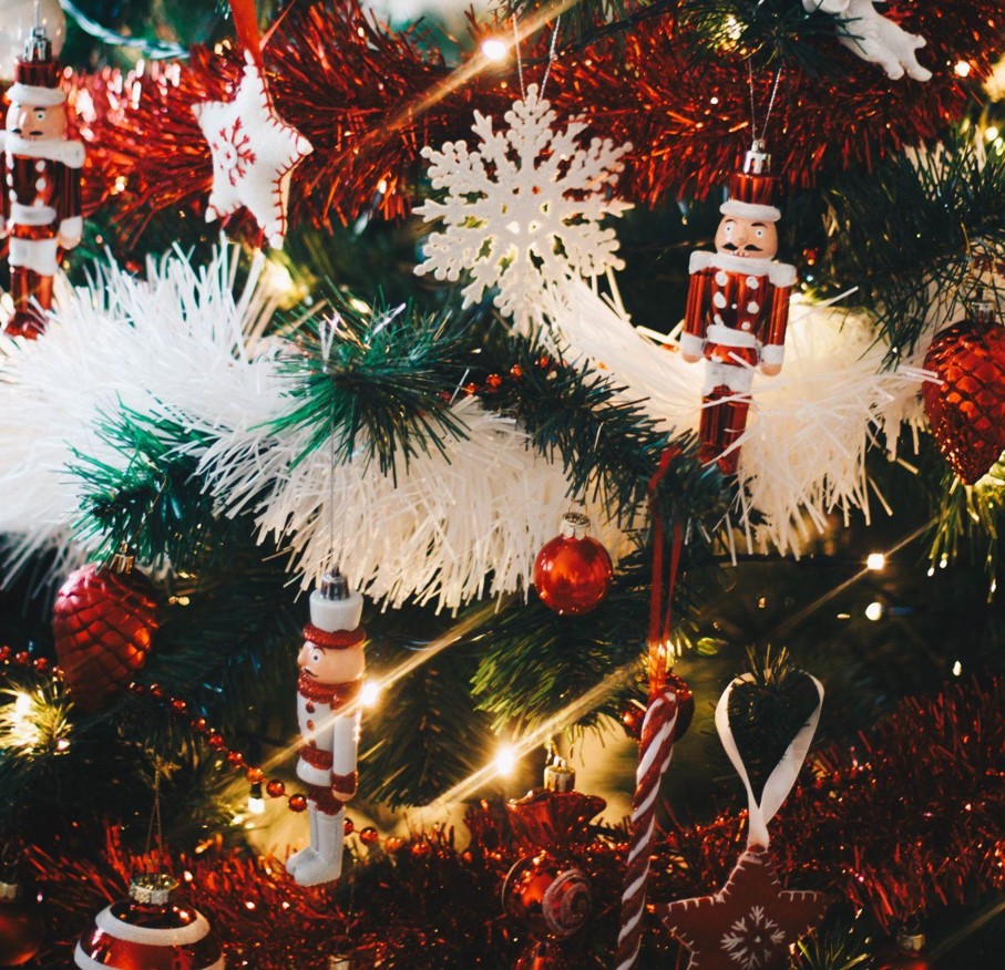 Find the Perfect Christmas Tree for Sale